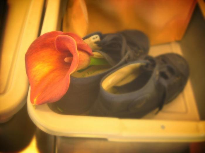 flower shoe